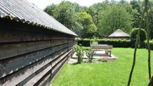 Vakantie met paard op de Veluwe