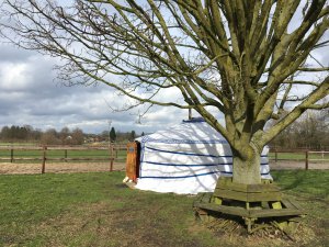 Mongoolse Yurt Gerbnb Veluwe Yurt buiten