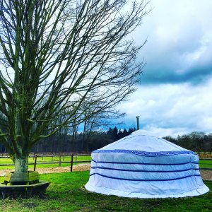 Mongoolse Yurt Gerbnb Veluwe Yurt overnachten