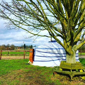 Mongoolse Yurt Gerbnb Veluwe Yurt