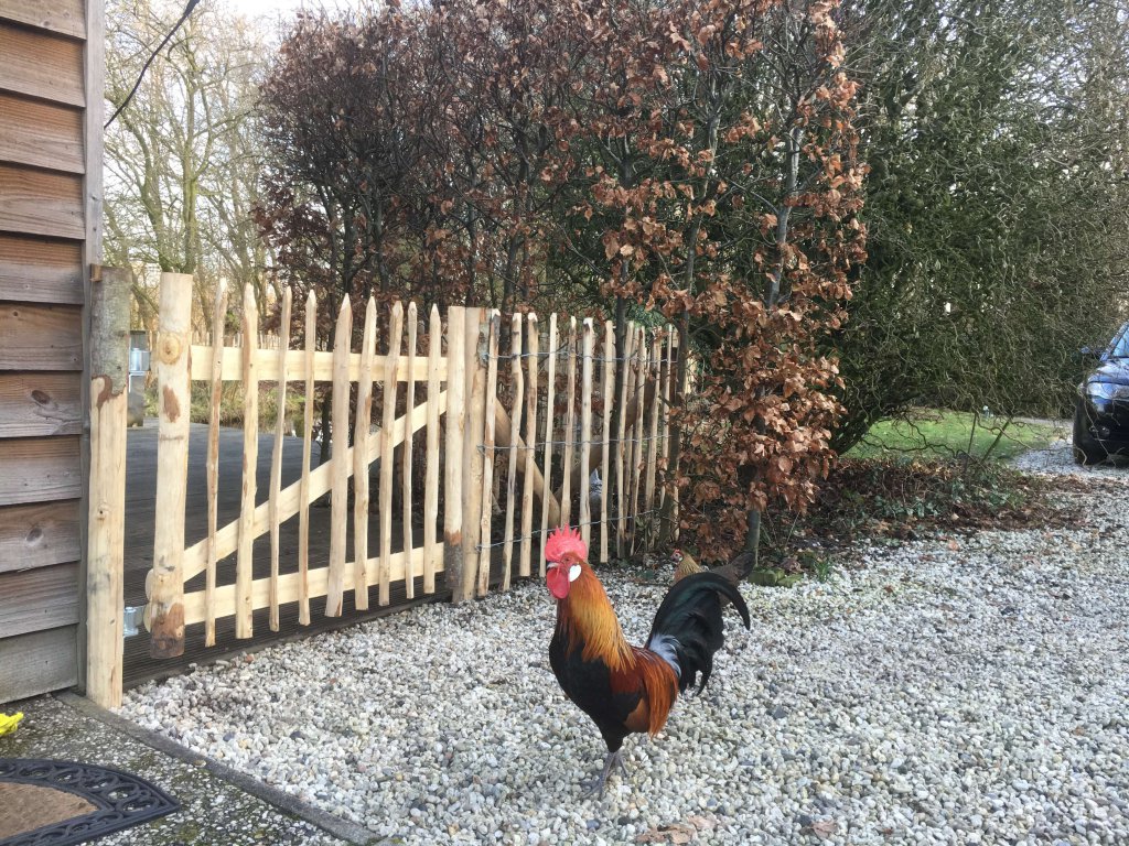 Vakantie met paard op de Veluwe